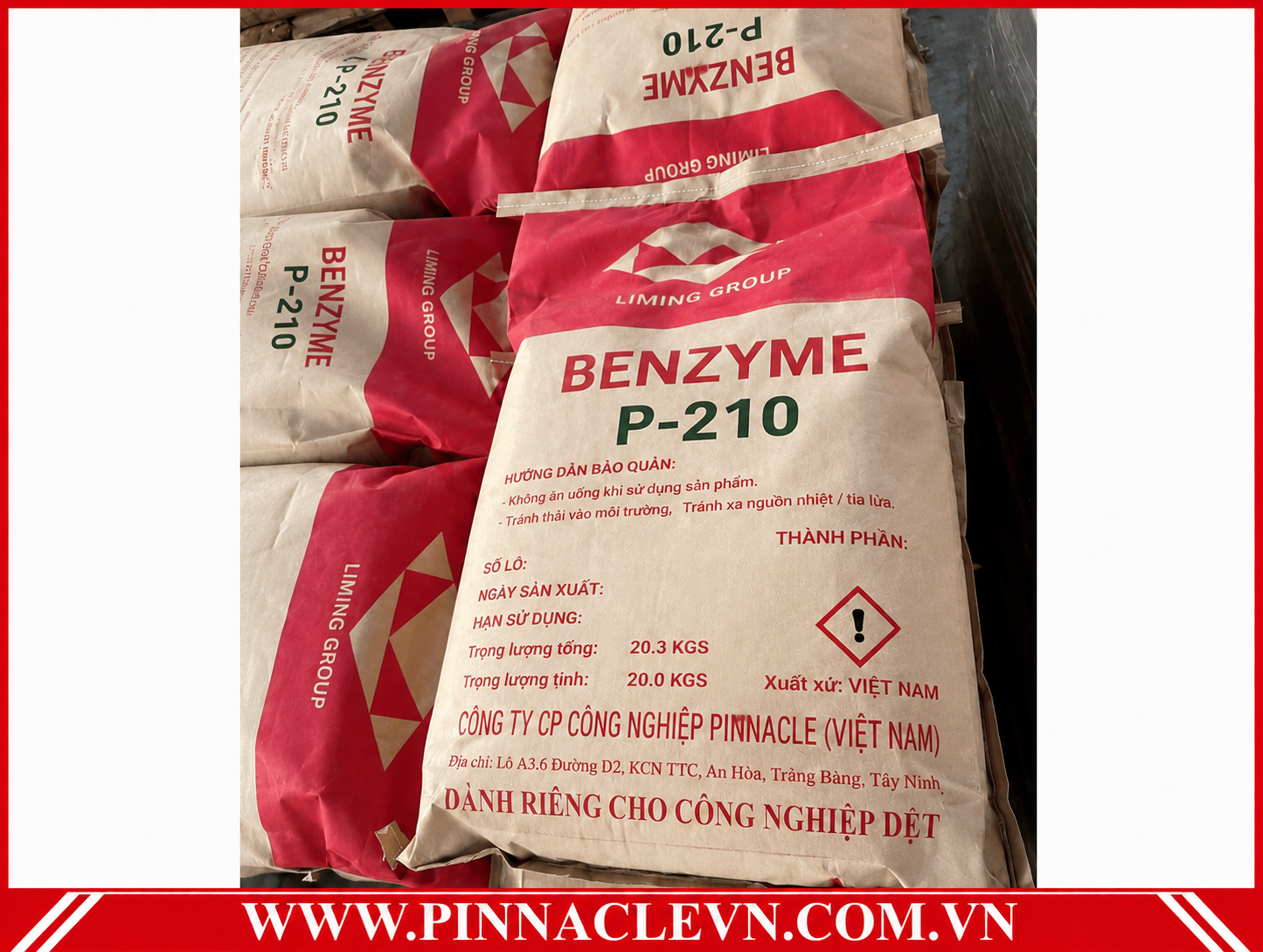 BENZYME P 210 BENZYME P 210