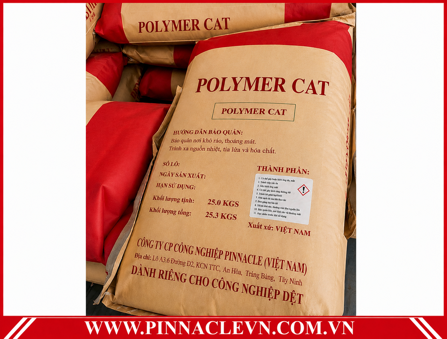 POLYMER CAT POLYMER CAT