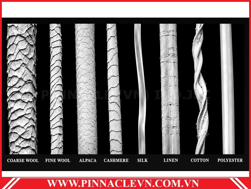 soi polyester Pinnaclevn